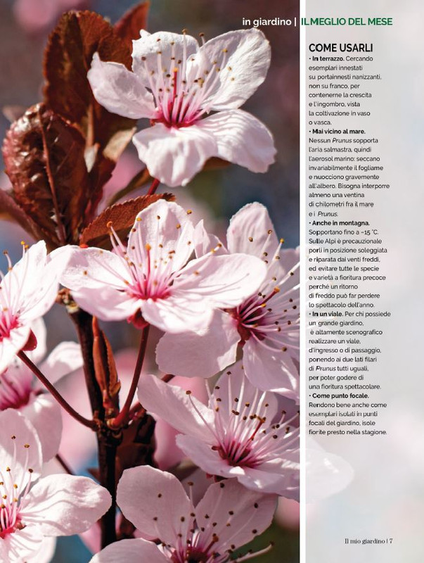 Il Mio Giar Apr-Mag 2023 (2)