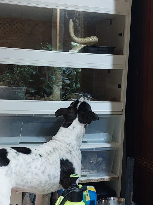 26B06E79-E996-481A-B696-A2B3A0CC0C66