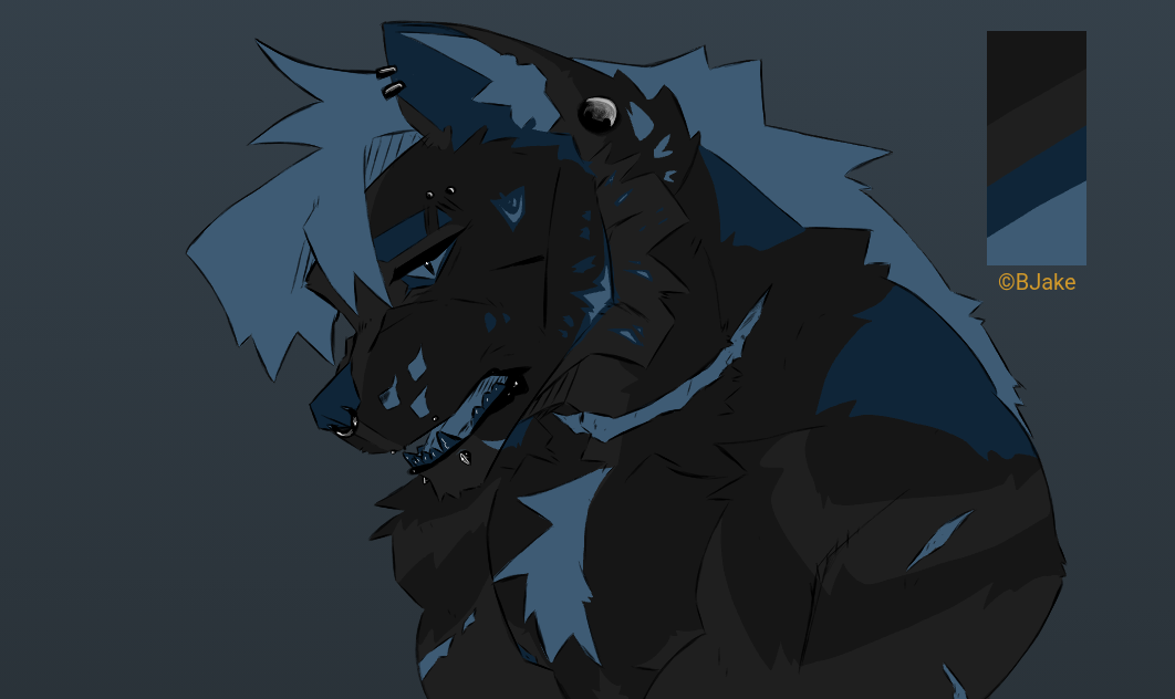 2025 12 11 135 Kleki