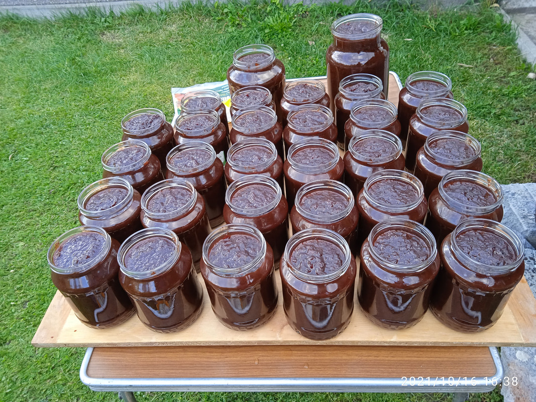 IMG_20211016_163828_1[1]