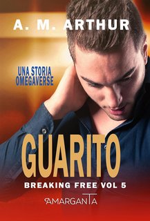 A. M. Arthur - Breaking Free Vol. 5. Guarito (2024)