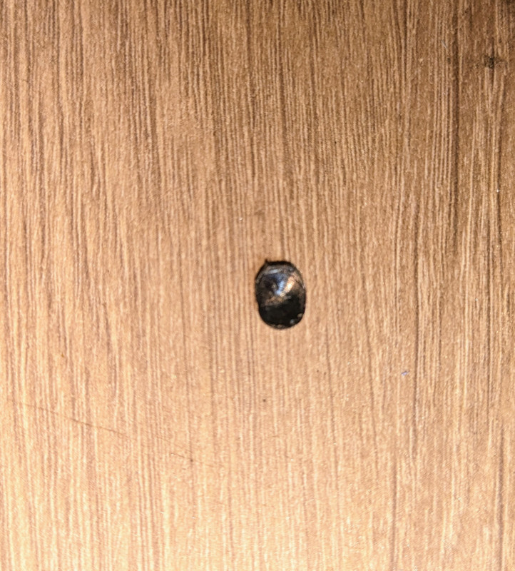 PXL_20230112_070050370~2