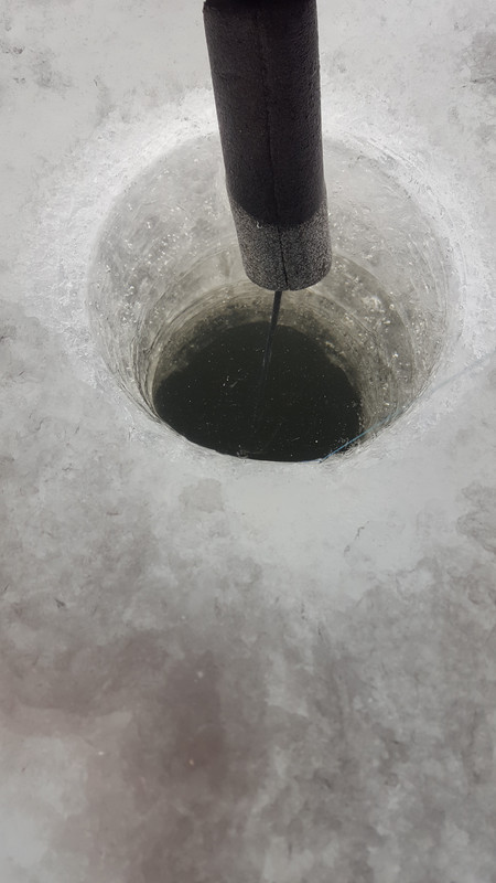 1520186349373367243817