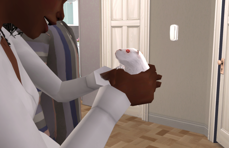 Sims2-EP9-RPC-2021-05-29-20-35-07-54