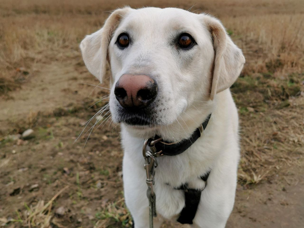 photo_2022-11-09_22-25-12