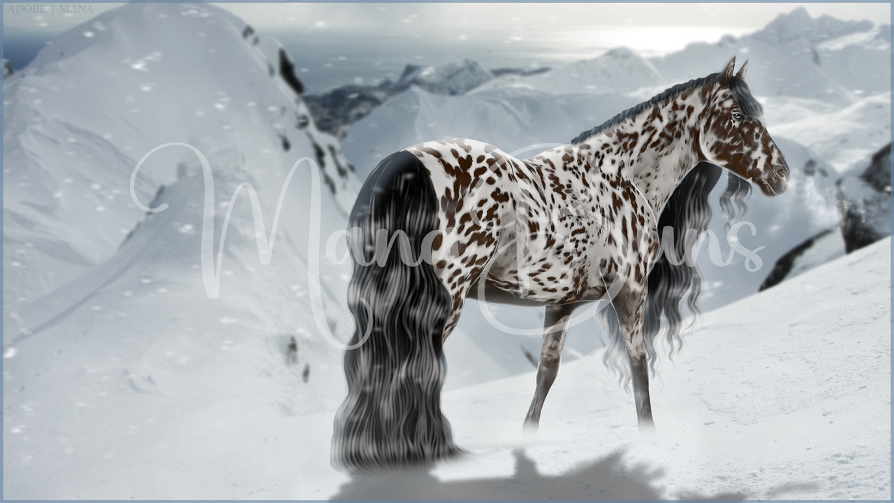 Snowy-Appy-WIP