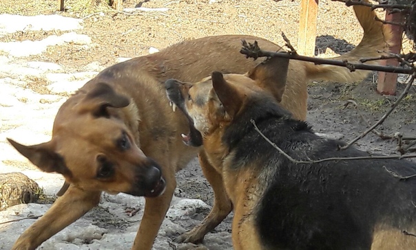 AD15551A-69DB-4178-85C5-CFB05736500F