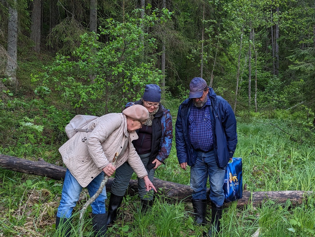 PXL_20230603_101221503