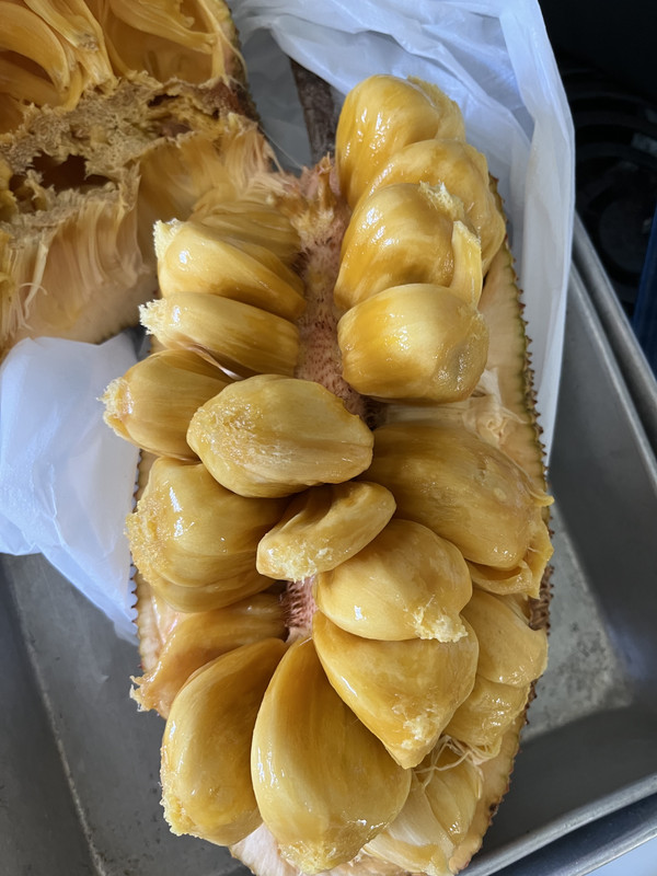 4714AAB6-C5F7-459F-871B-03BE0688A01F