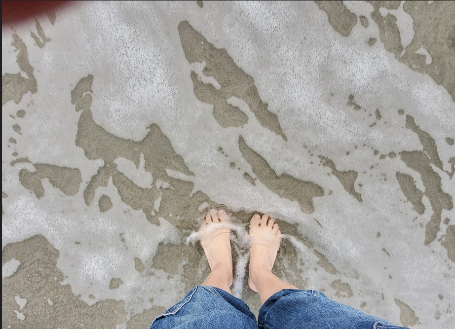 [Image: SC20251127083911Myrtle_Beach.jpg]