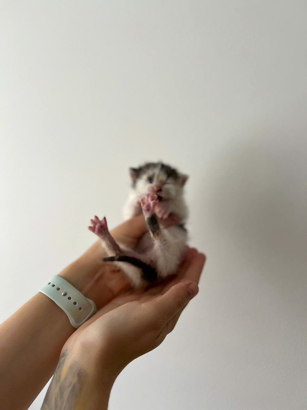 A7825BE1-51B4-4B60-90B2-EA1A6BD1F034