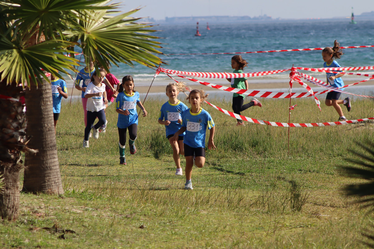 IMG-4278