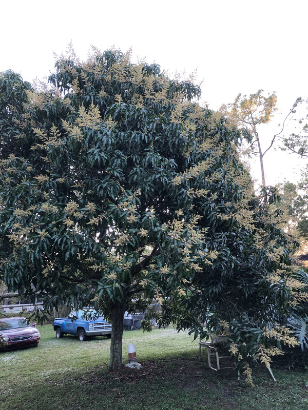 931F9B83-9292-4CA6-BBB8-351581EC1AD4