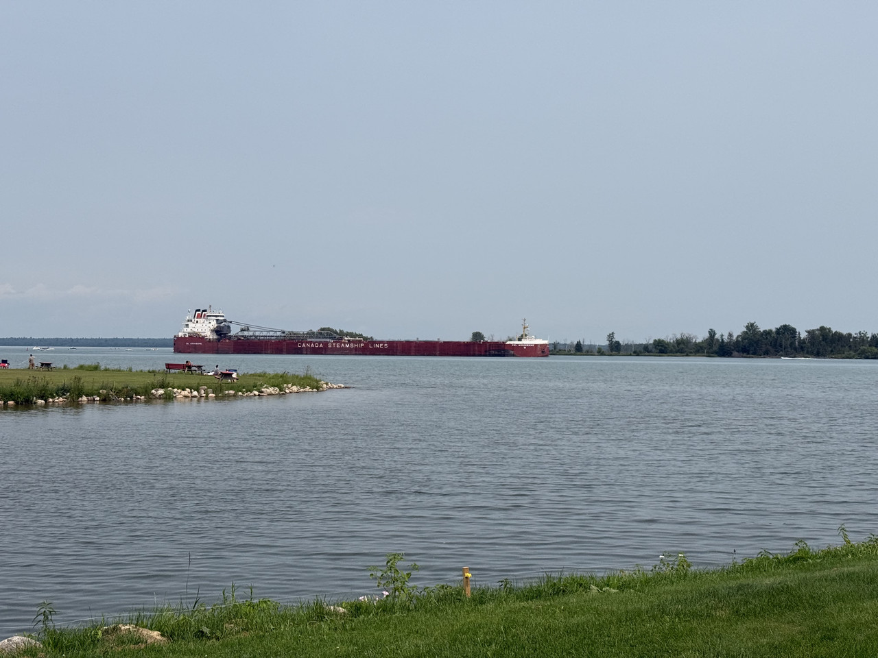 IMG-7784.jpg
