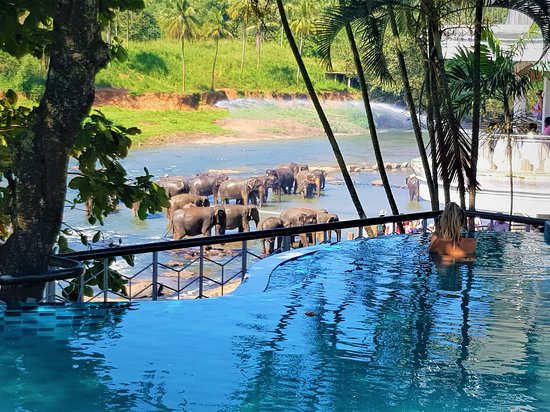 1Ahotel-elephant-park