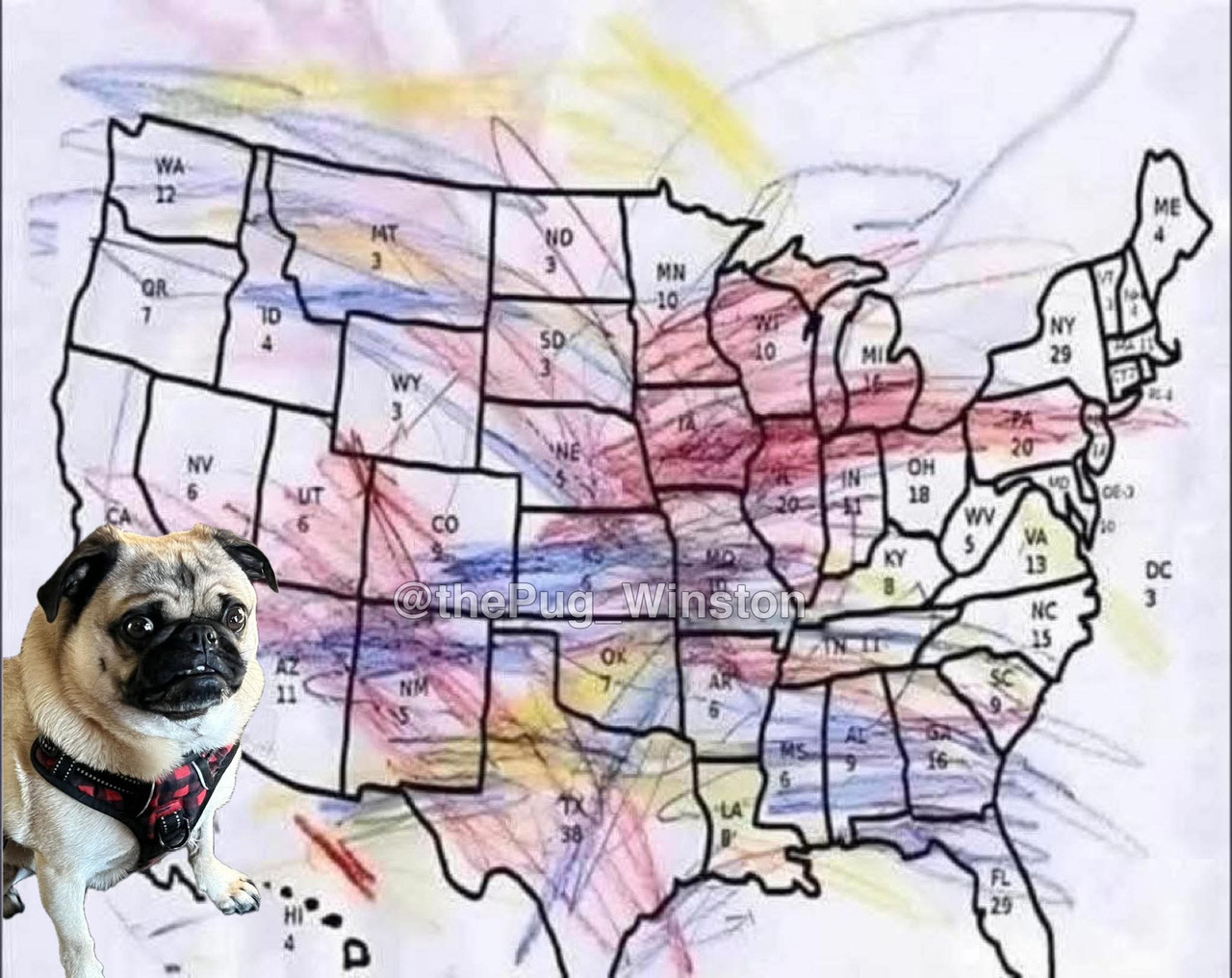 facebook 1769057390314 7419964488423769414 218978101247974