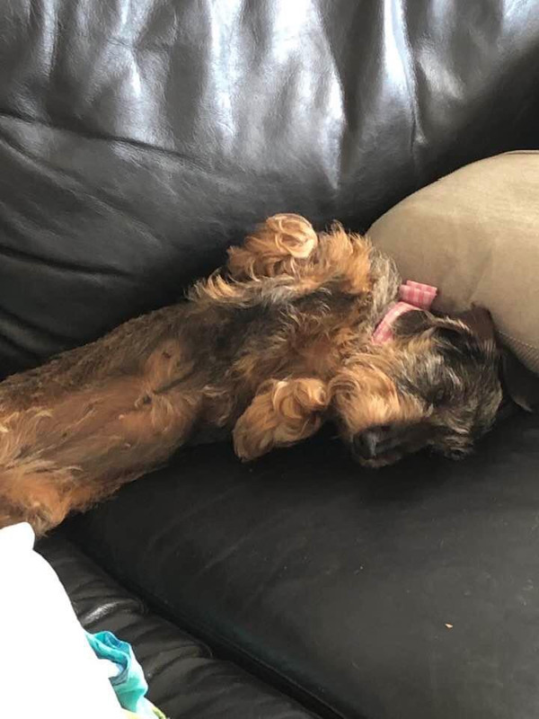 [Image: IMG-0109-1.jpg]