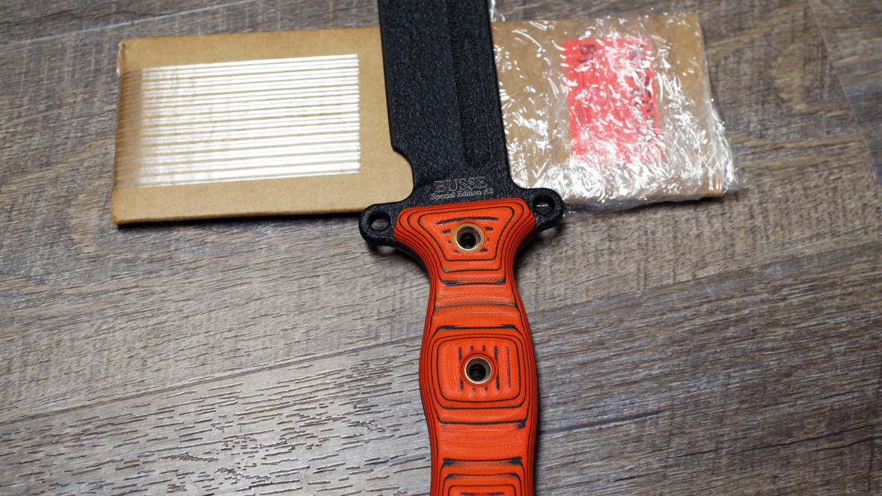 BusseTGA2OrangeLogo2