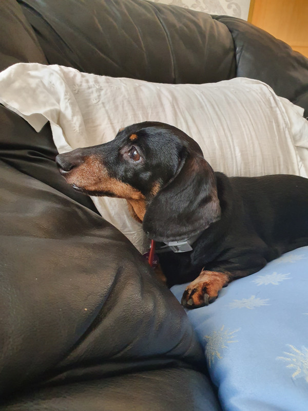 [Image: 20220314-143228.jpg]