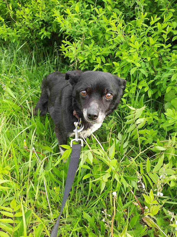 D8B3D3E7-04E6-4E61-842E-42C6A449E680