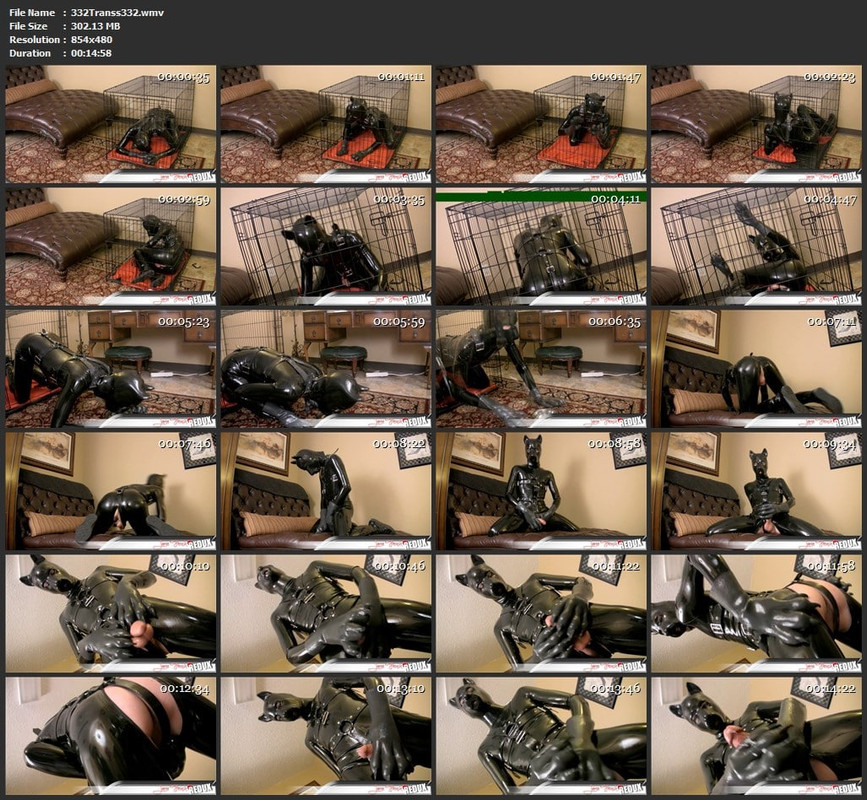 332Transs332.wmv