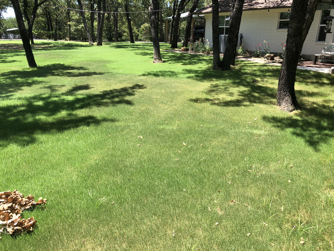 11261F17-59A0-402C-91CF-F4AAEC3B145B