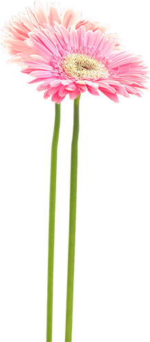 KBK_InTheSpring (29)