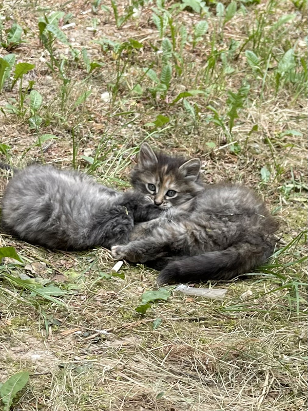 4C35FA4A-8666-4EB7-B437-C3C1A72AC78E