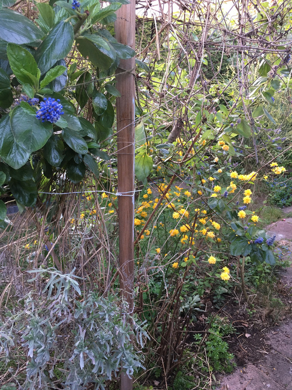 067AA9E0-C769-4D3B-86DC-1E08C8D46A71