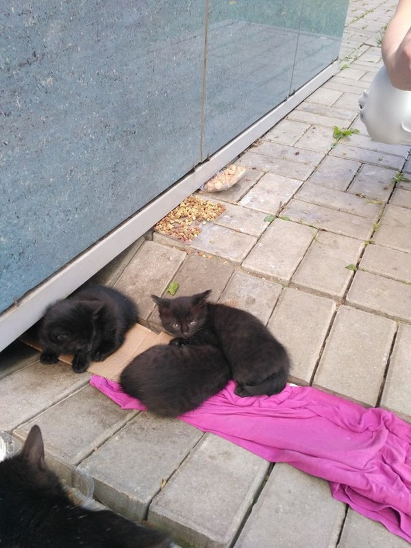 VK_Saved_Photo_ 636612470374879585