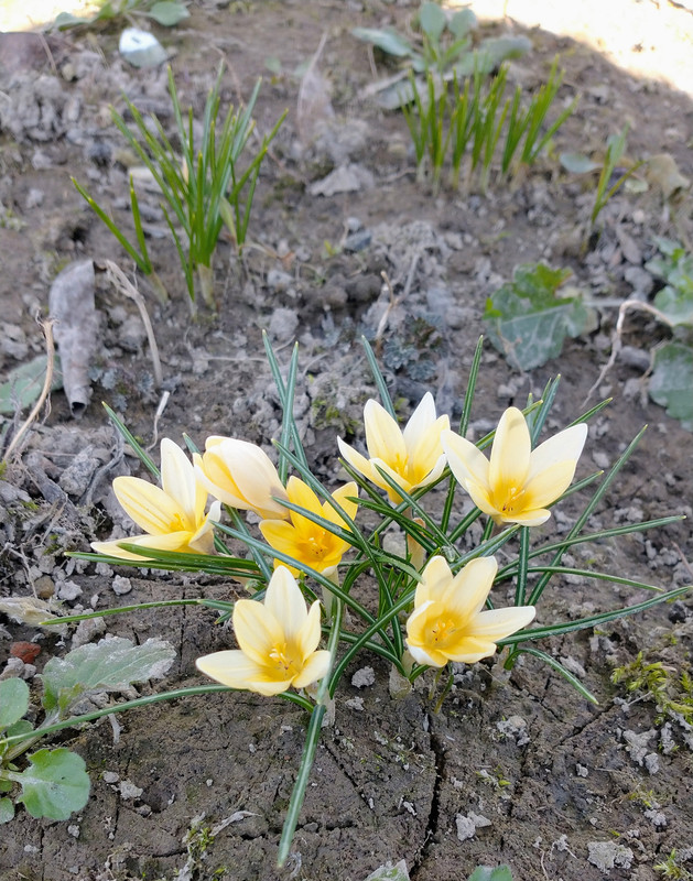 IMG 20260314 104555063 2