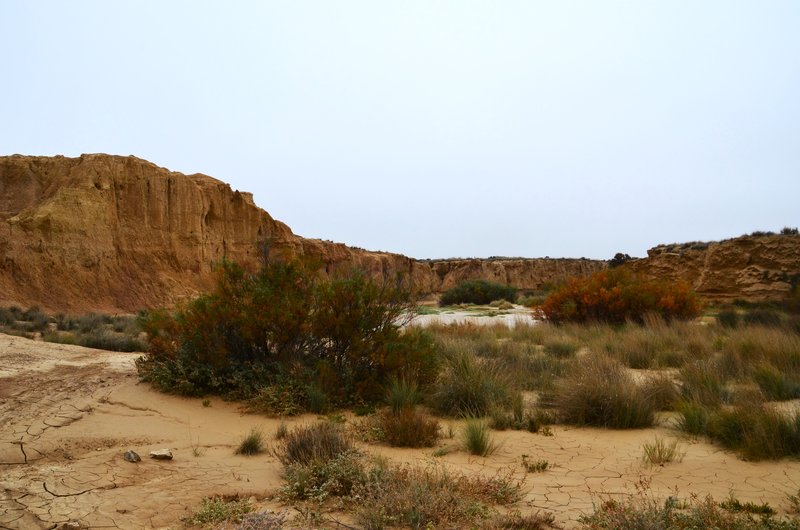 Navarra y sus pueblos-2015 - Blogs de España - Las Bárdenas Reales-15-11-2015 (29)