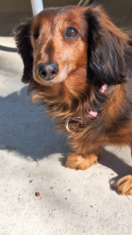 [Image: 20250329-154242.jpg]