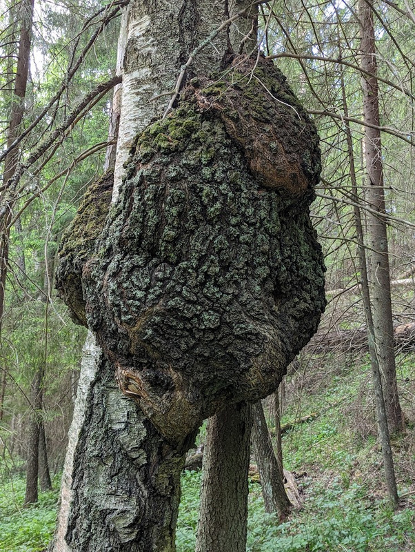 PXL_20230603_115719114