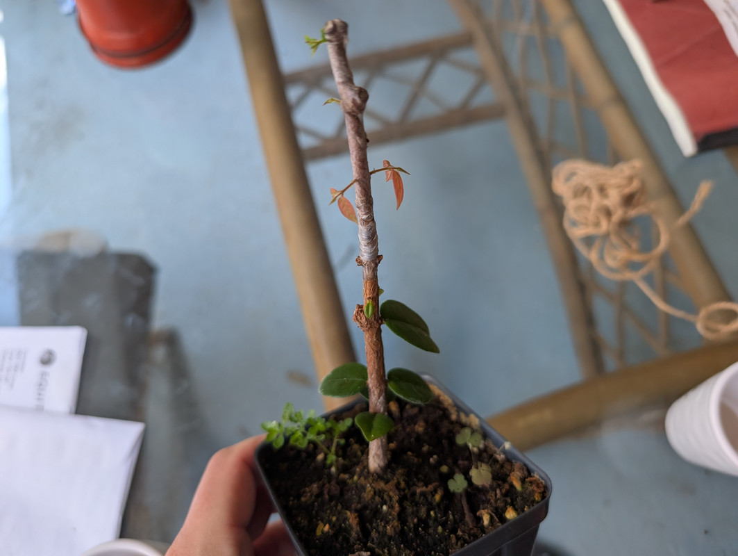 PXL_20251007_171156196