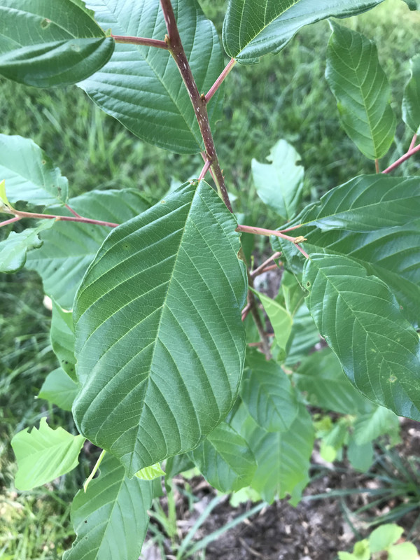 EDF6FBD9-654B-4056-B5D9-82DC2791DC76