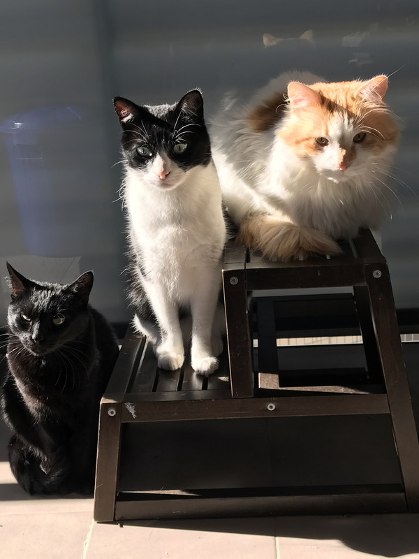 C460DCCF-4CB9-4EEF-B055-8A1E6E24A425