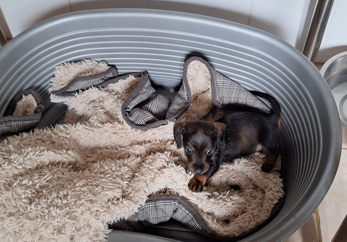 [Image: 20250527-194817.jpg]