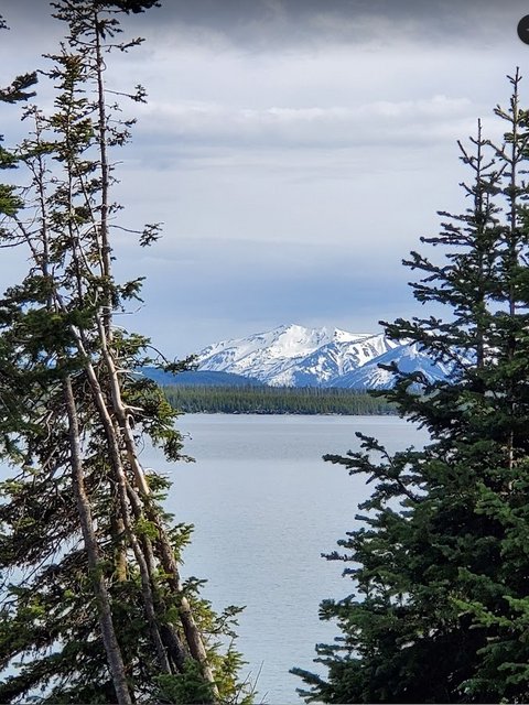 [Image: WYYellowstone-Lake2023062.jpg]