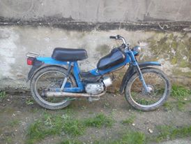 12166663_1472584693050936_1760575395_n