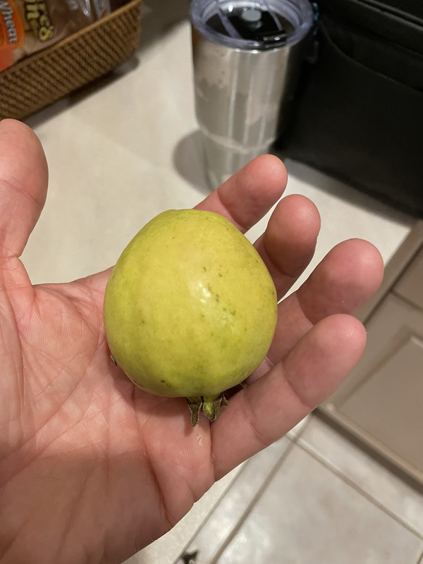 F7E26DE7-CD1B-44DE-AB4C-6613F8B1976F