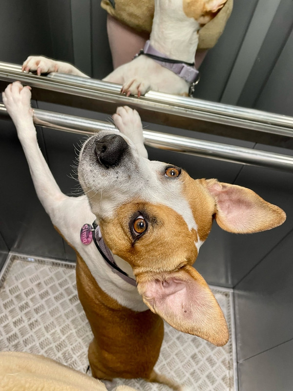 0646CD04-1D2B-49D3-B86C-DC83192F368E