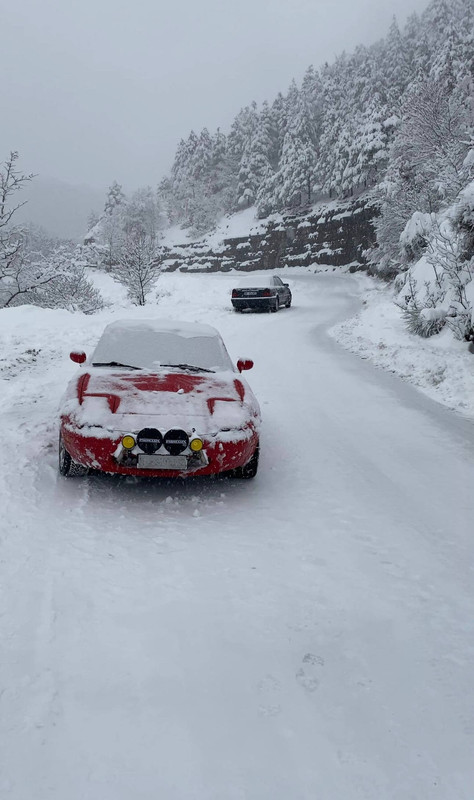 [Immagine: 6039546711031616133.jpg]