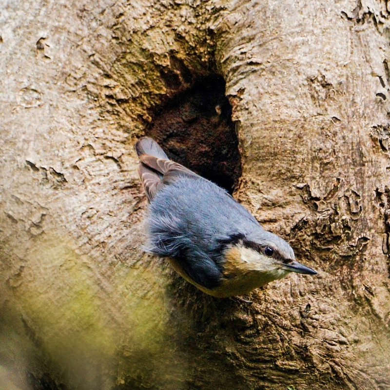 71E4DB7F-4AD0-4E4A-9E83-8BC37FF73BB2