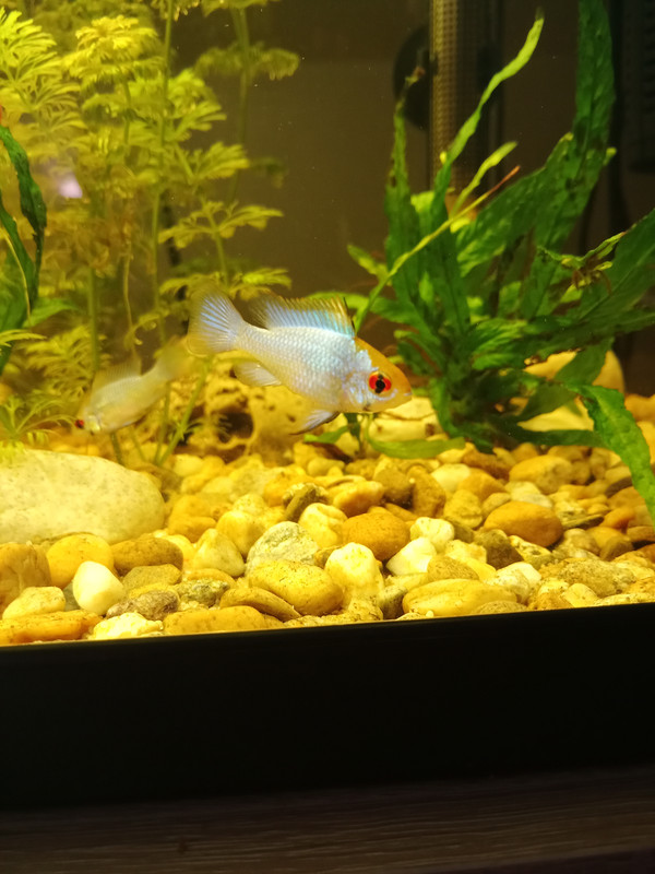 IMG_20240822_145952_369