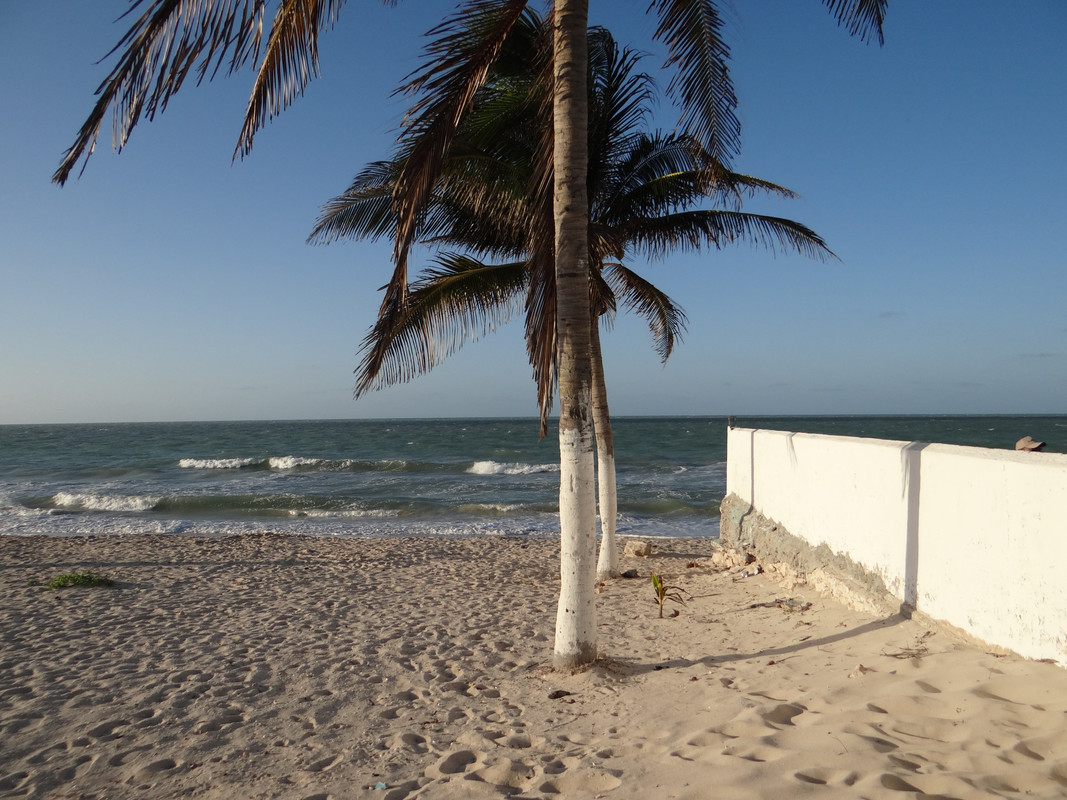 Un-d-a-en-la-playa-en-la-tarde-7