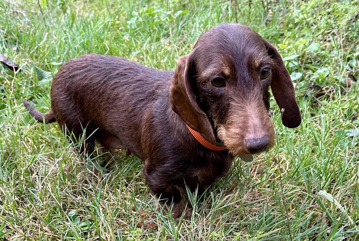 [Image: IMG-4593.jpg]