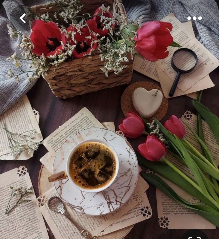 Screenshot_20230603_222522_Pinterest