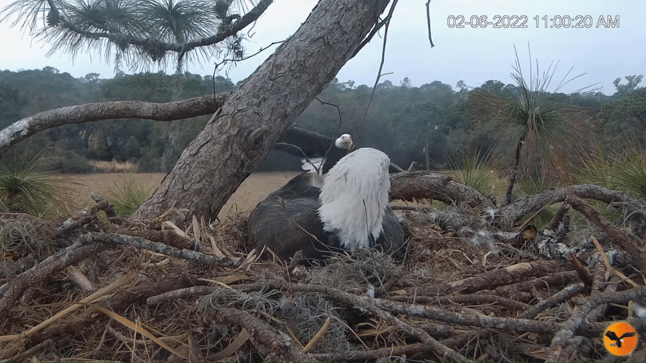 Webp.net-gifmaker (4)