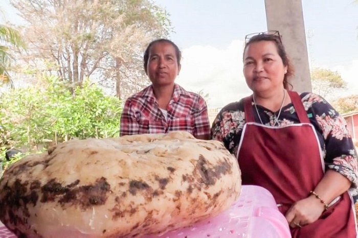 Seorang wanita menemukan muntahan ikan paus senilai 185.000 poundsterling atau setara Rp 3,7 miliar.